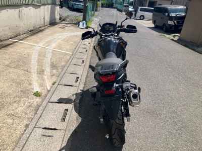 Suzuki V-Strom 650 2024