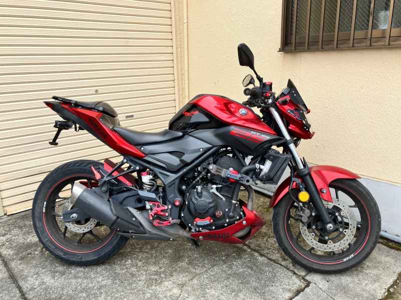 Yamaha MT-25 2016