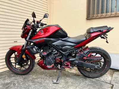 Yamaha MT-25 2016