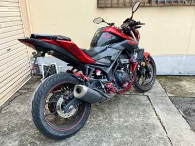 Yamaha MT-25 2016