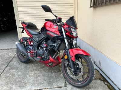 Yamaha MT-25 2016
