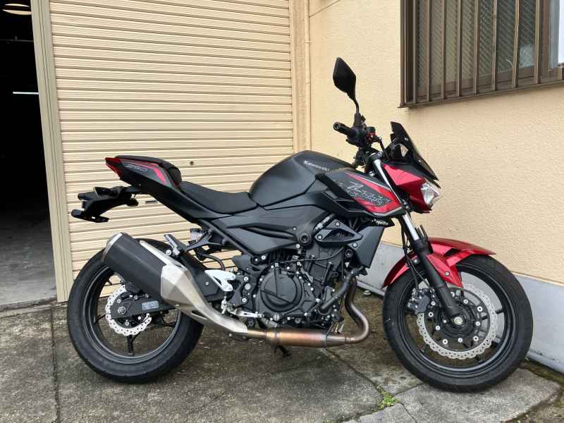 Kawasaki Z250 2021