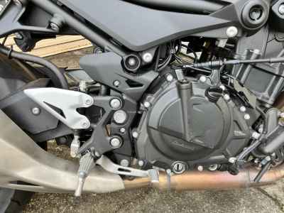 Kawasaki Z250 2021