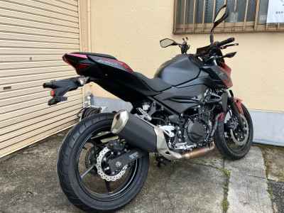 Kawasaki Z250 2021