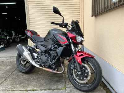 Kawasaki Z250 2021