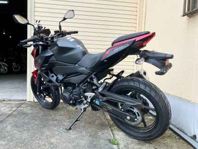 Kawasaki Z250 2021