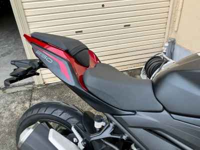 Kawasaki Z250 2021