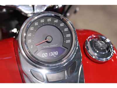 Harley-Davidson FLI HYDRA Glide 2024