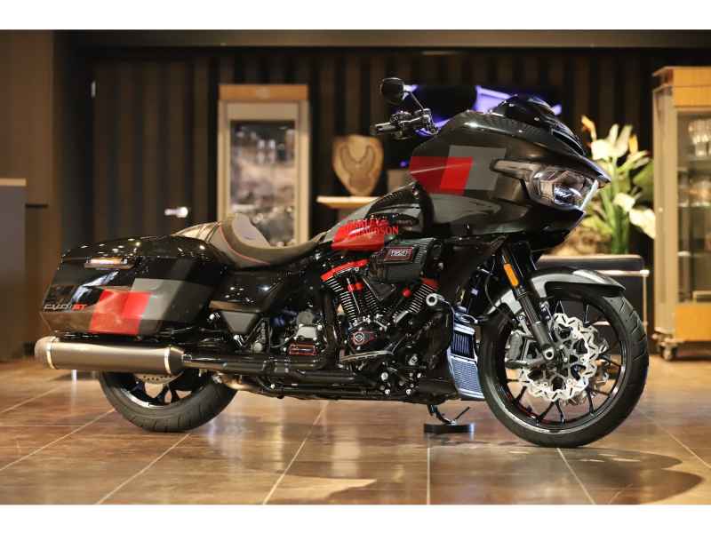 Harley-Davidson ｰFL 2025