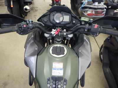 Kawasaki Versys-X 250 2018