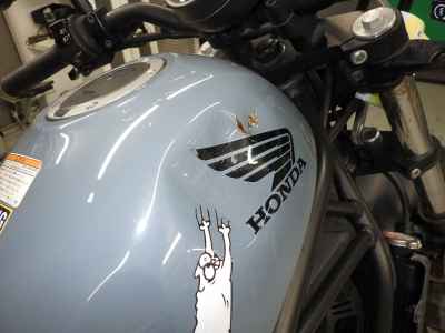 Honda Rebel CMX250 2019