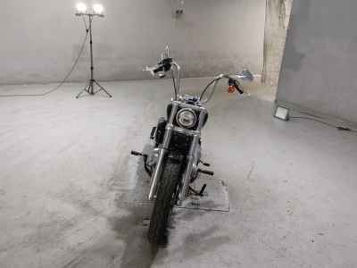 Harley-Davidson FXST 2022