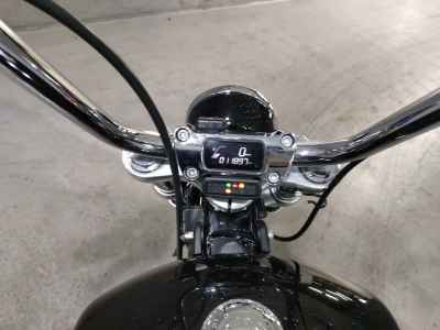 Harley-Davidson FXST 2022