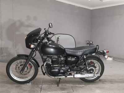 Kawasaki W800 2019