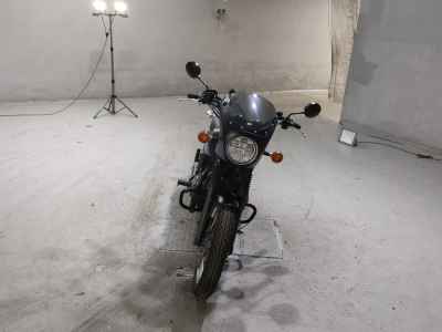 Kawasaki W800 2019