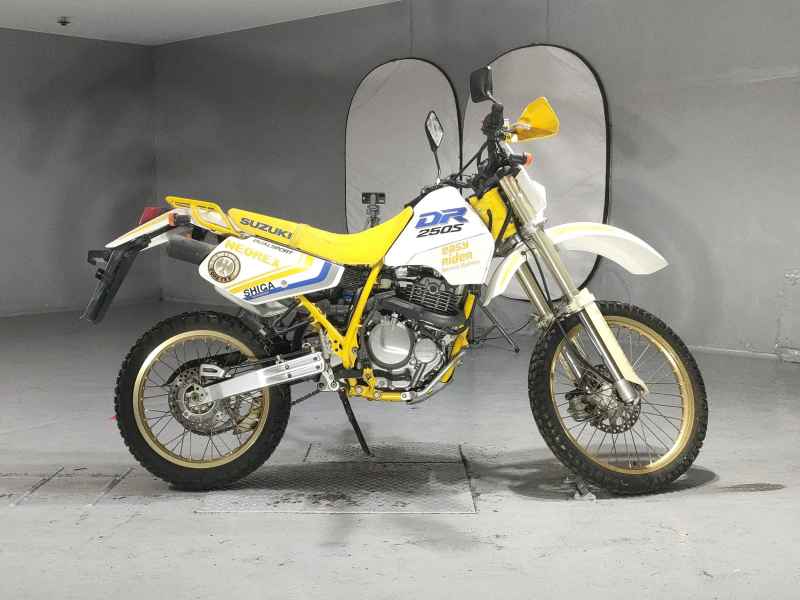 Suzuki DR250S