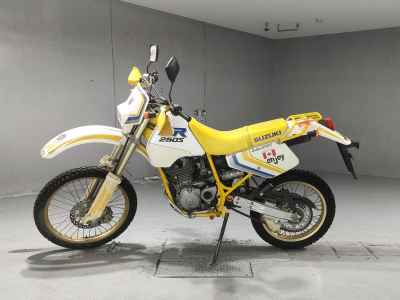 Suzuki DR250S