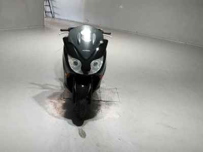 Honda Forza Z