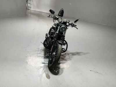 Harley-Davidson Sportster Iron XL883N 2011