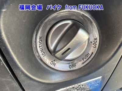 Honda Forza Z