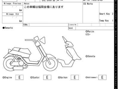 Honda Forza Z