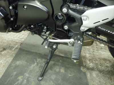 Kawasaki Z900RS 2023