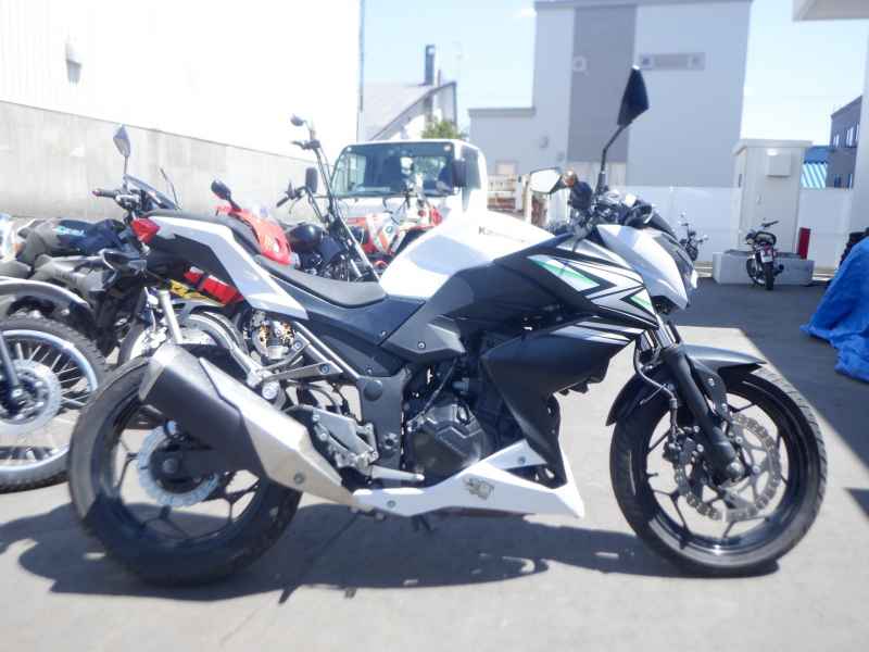 Kawasaki Z250 2014