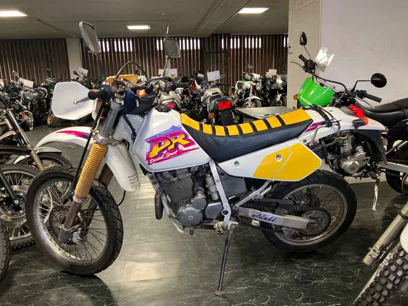 Suzuki DR250R