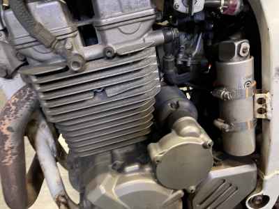 Suzuki DR250R