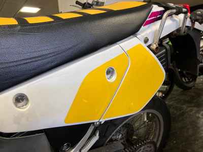 Suzuki DR250R