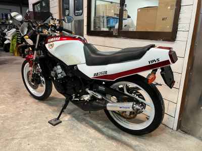 Yamaha RZ250R