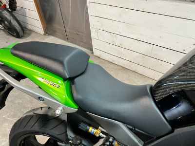 Kawasaki Ninja 1000 2011