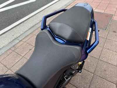 Yamaha FZ1 Fazer 2007