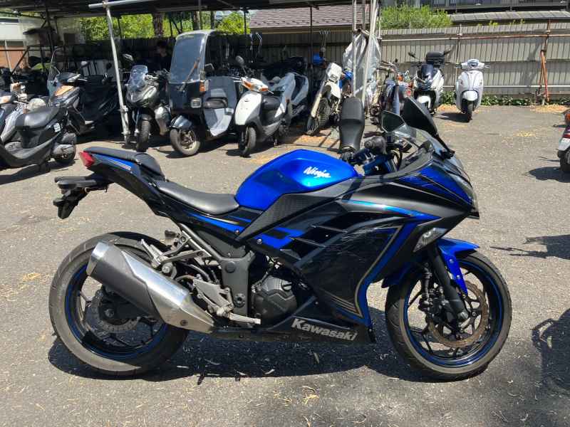 Kawasaki Ninja 250 2015