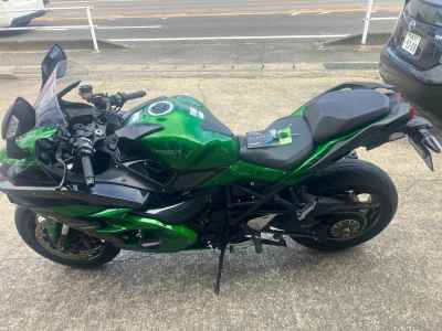 Kawasaki Ninja H2 SX 2018