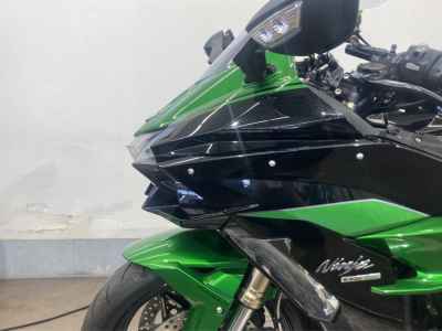 Kawasaki Ninja H2 SX 2019