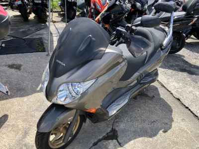Honda Forza Z UDIO P 2008