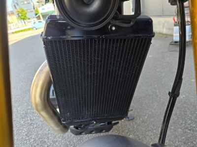 Triumph Speed 400 2024