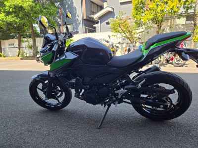 Kawasaki Z250 2023
