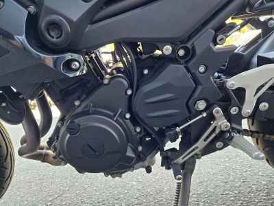 Kawasaki Z250 2023