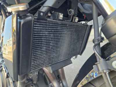 Kawasaki Z250 2023