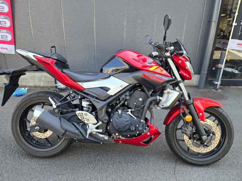 Yamaha MT-25 2016