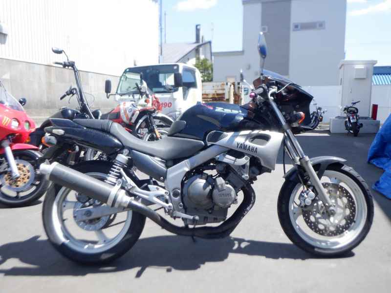 Yamaha Zeal FZX250
