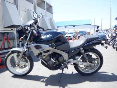 Yamaha Zeal FZX250