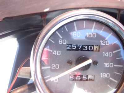 Yamaha Zeal FZX250