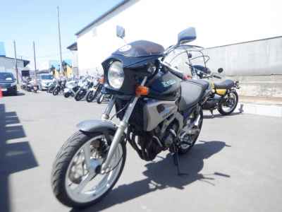 Yamaha Zeal FZX250