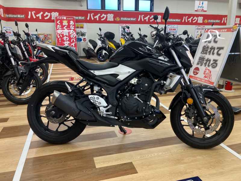 Yamaha MT-25 2016
