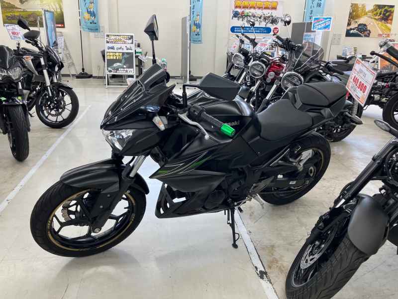 Kawasaki Z250 2013