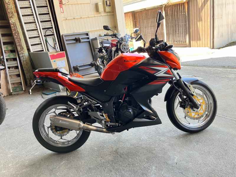 Kawasaki Z250 2014