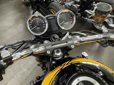 Kawasaki W800 2022